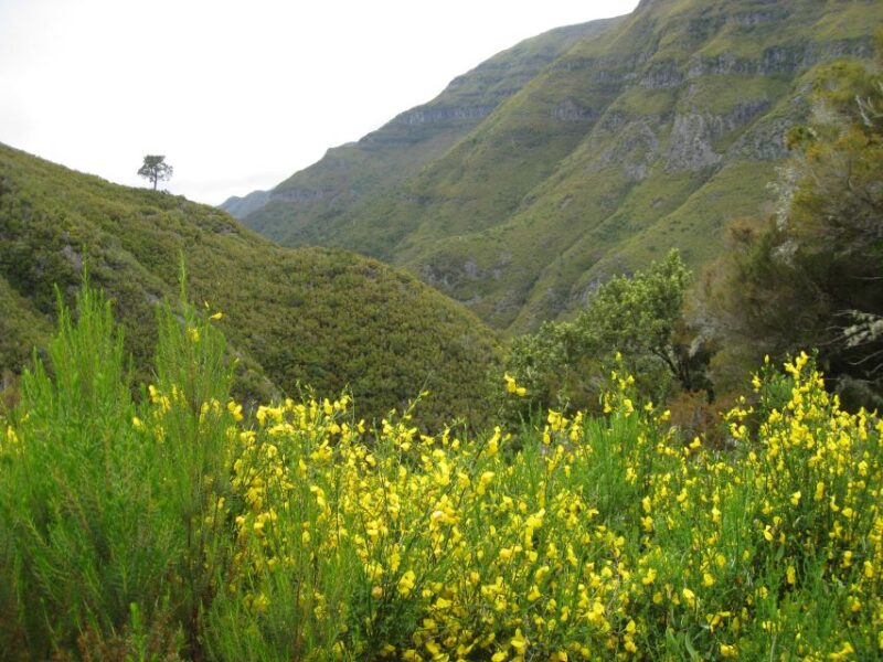 Madeira: Guided Full-Day Rabaçal Walk - Inclusions