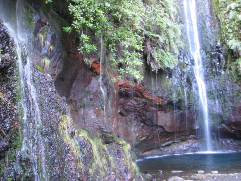 Madeira: Guided Full-Day Rabaçal Walk - Participant Information