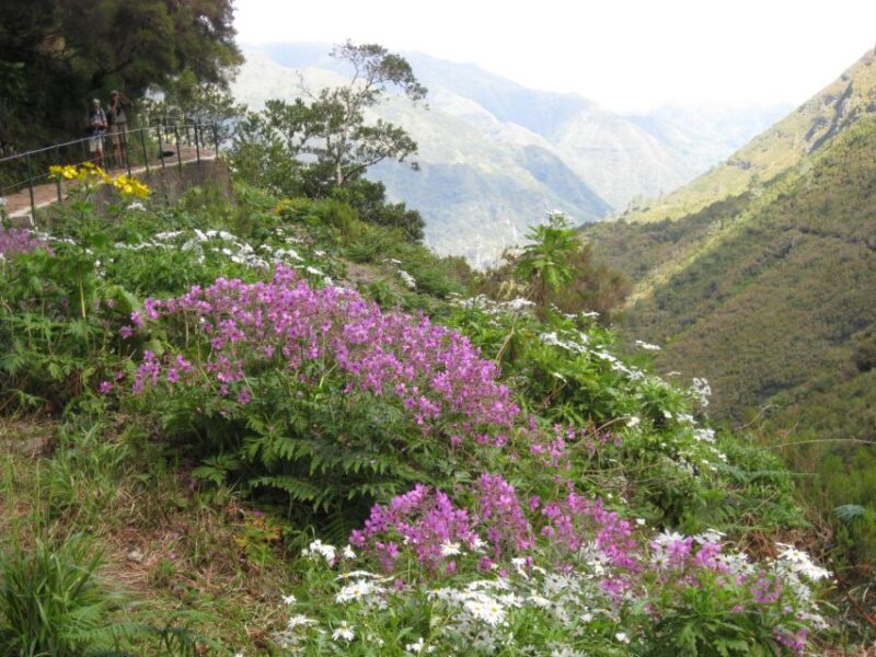 Madeira: Guided Full-Day Rabaçal Walk - Customer Reviews