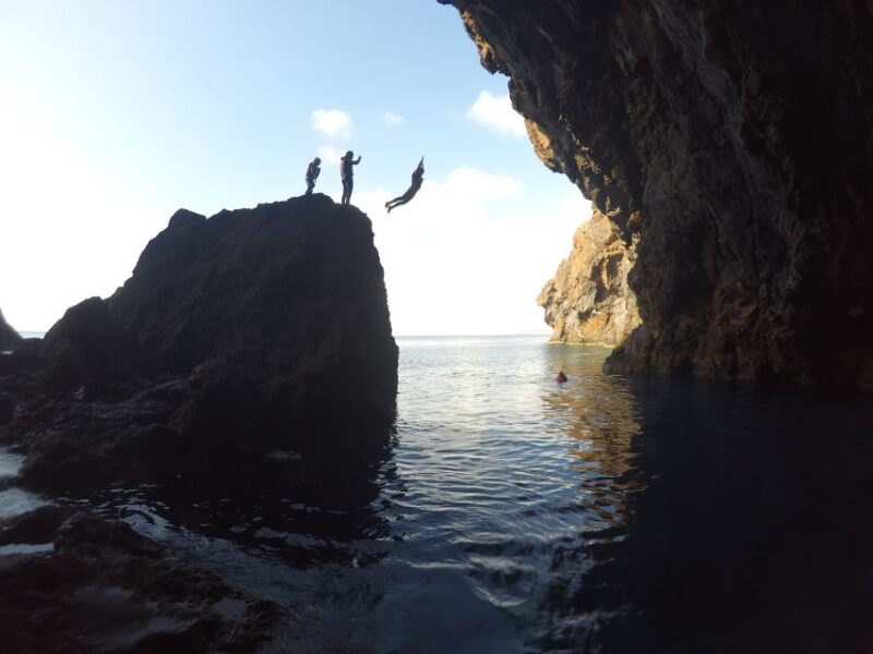 Madeira: Half-Day Coasteering Tour - Experience and Activities