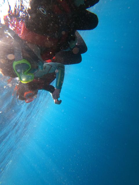 Madeira: Half-Day Coasteering Tour - Inclusions and Safety
