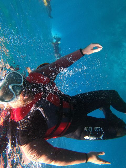 Madeira: Half-Day Coasteering Tour - Exploring the Coastline