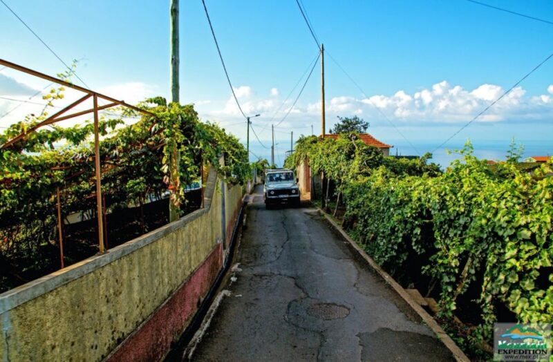 Madeira: Half-Day Nuns Valley and Sea Cliff Tour - Key Points