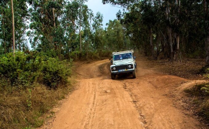 Madeira: Half-Day Nuns Valley and Sea Cliff Tour - Customer Feedback