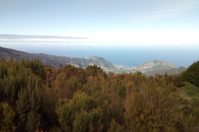Madeira Half-Day Old Road West Sidecar Tour - Wireless Communication