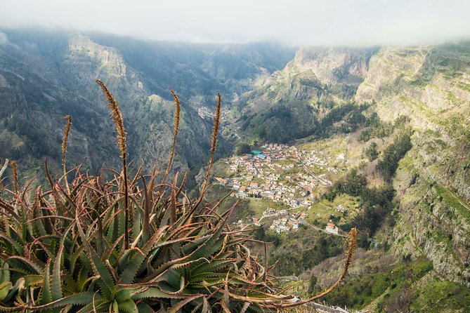Madeira Half Day Small-Group Tour From Funchal - Booking Process and Requirements