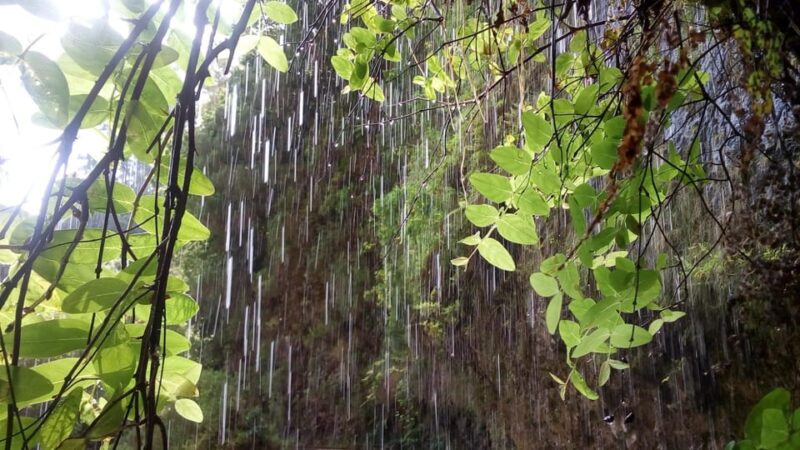 Madeira Hells River Walk - Key Points
