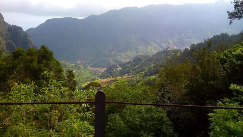 Madeira Hells River Walk - Experience Highlights