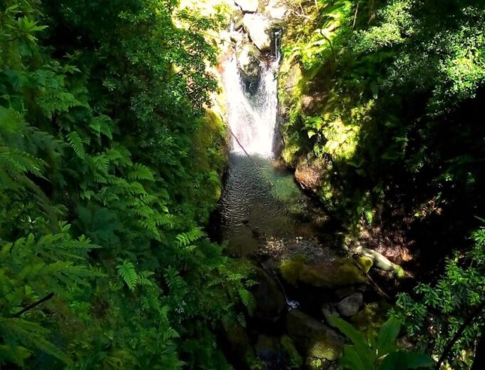 Madeira Hells River Walk - Additional Details