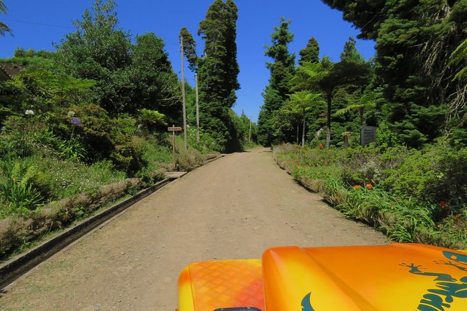 Madeira Highlights: Guided 4-Hour Tour From Funchal - Coastal Landscapes