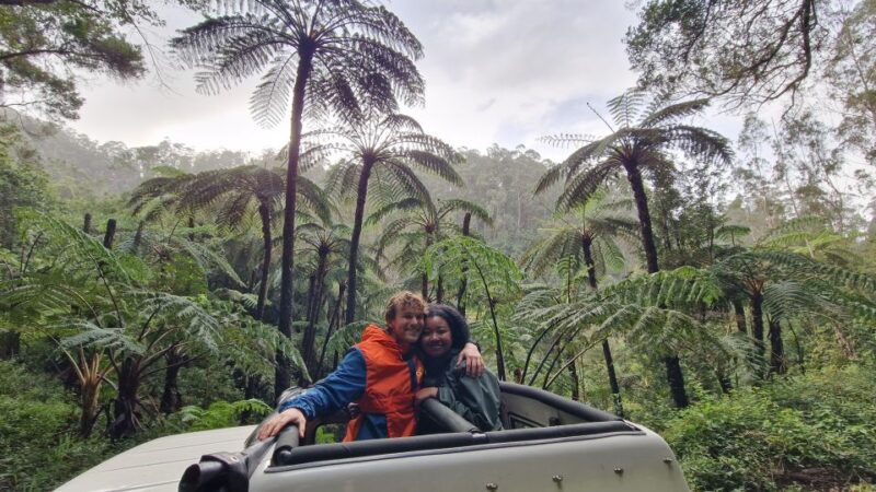 Madeira in One Day: Funchal & Eastern Highlights - Main Activities