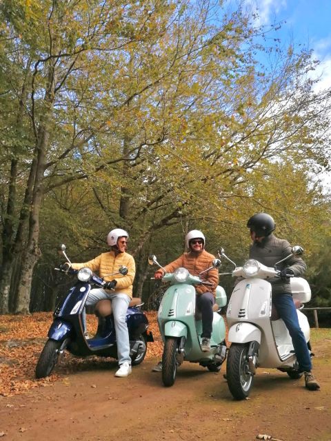 Madeira Island 24h Vespa Primavera 125cc Rental - Key Points