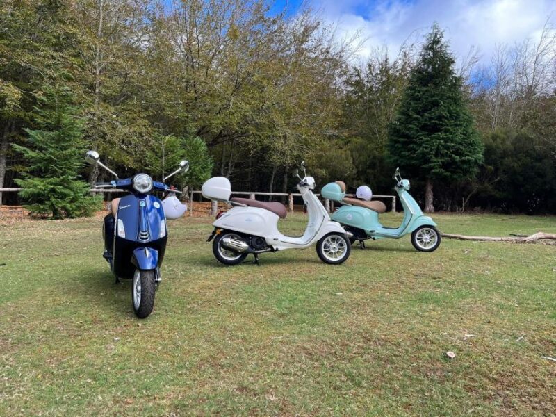 Madeira Island 24h Vespa Primavera 125cc Rental - Experience Highlights