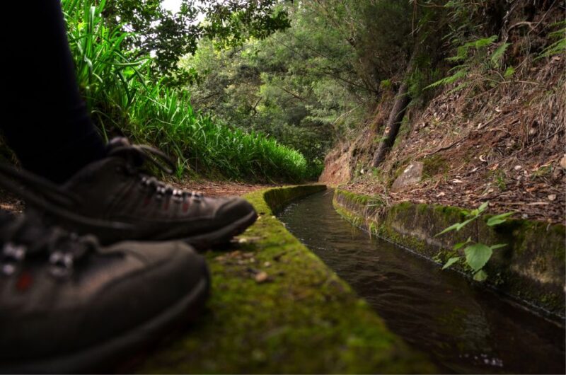 Madeira Island: Caldeirão Verde Levada Walk - Key Points