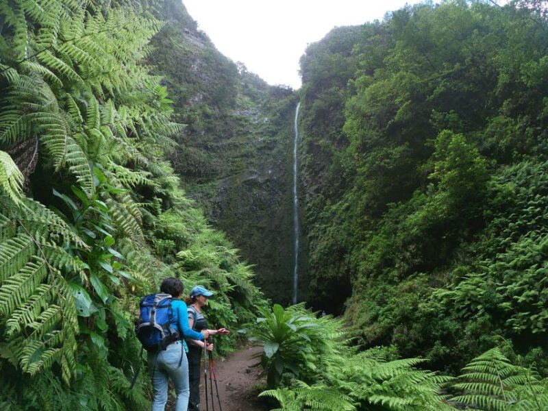 Madeira Island: Caldeirão Verde Levada Walk - Pickup and Drop-off Locations