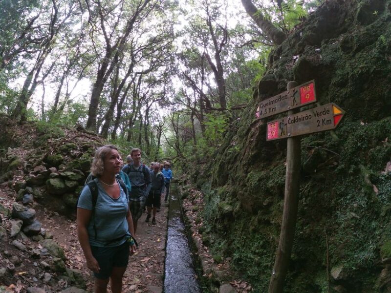 Madeira Island: Caldeirão Verde Levada Walk - Requirements and Restrictions