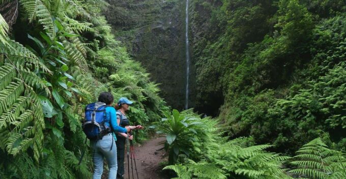 Madeira Island: Caldeirão Verde Levada Walk - Highlights of the Hike