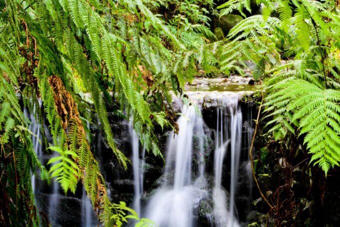 Madeira Island: Caldeirão Verde Levada Walk - Preparing for the Adventure
