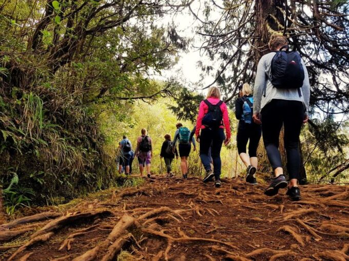 Madeira Island: Caldeirão Verde Levada Walk - Frequently Asked Questions