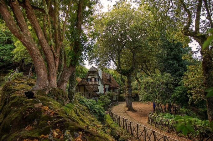 Madeira Island: Full-Day Guided Tour of Eastern Madeira - Accessibility and Cancellation