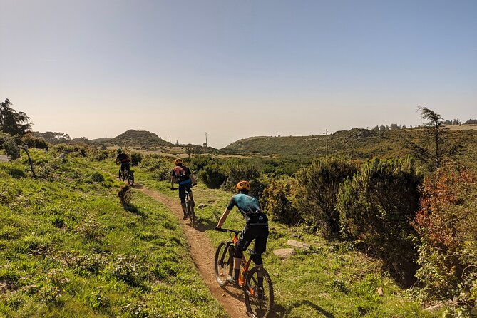 Madeira Island Guided Mountain Biking Adventure - Cancellation and Refund Policy