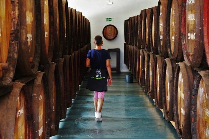 Madeira Island Private Wine Full-Day Tour in All Terrain Vehicle - Winemaking Traditions and Vineyards