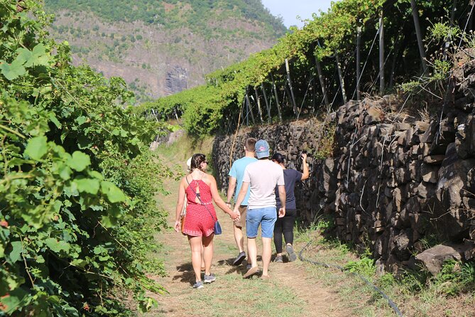 Madeira Island Private Wine Full-Day Tour in All Terrain Vehicle - Stunning Natural Landscapes