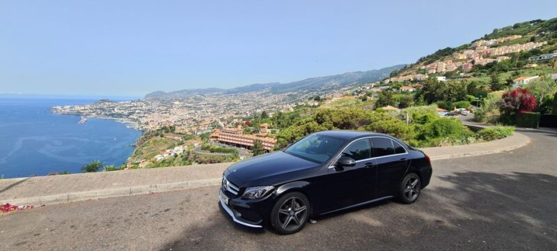 Madeira Island - Company Background