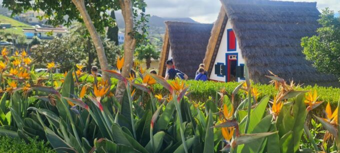 Madeira Island - Frequently Asked Questions