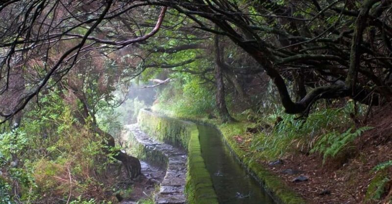 MADEIRA ISLAND WALK - 25 FOUNTAINS LEVADA - Key Points