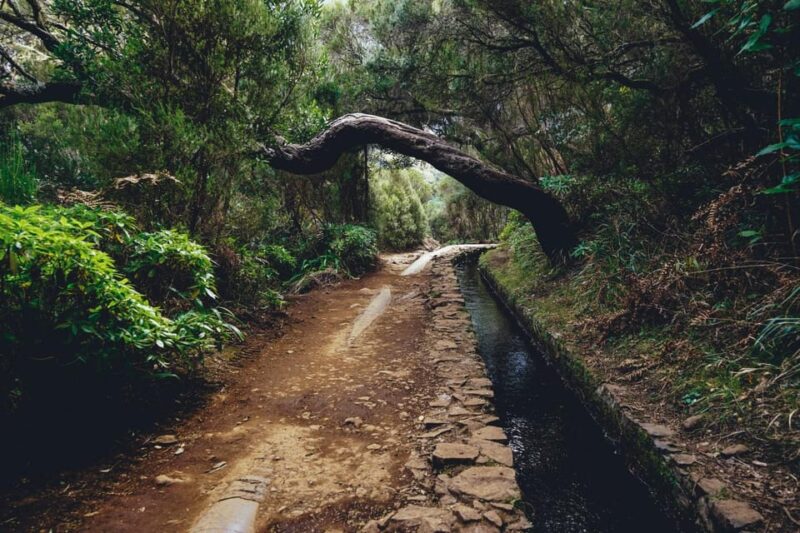 MADEIRA ISLAND WALK - 25 FOUNTAINS LEVADA - Itinerary Details