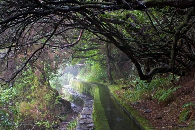 MADEIRA ISLAND WALK - 25 FOUNTAINS LEVADA - What to Expect