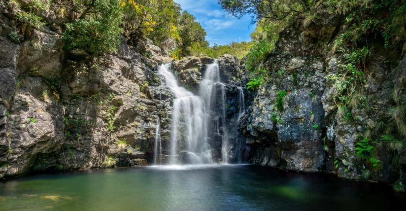 MADEIRA ISLAND WALK - LAKES OF MADEIRA , LEVADA DO ALECRIM - Activity Overview