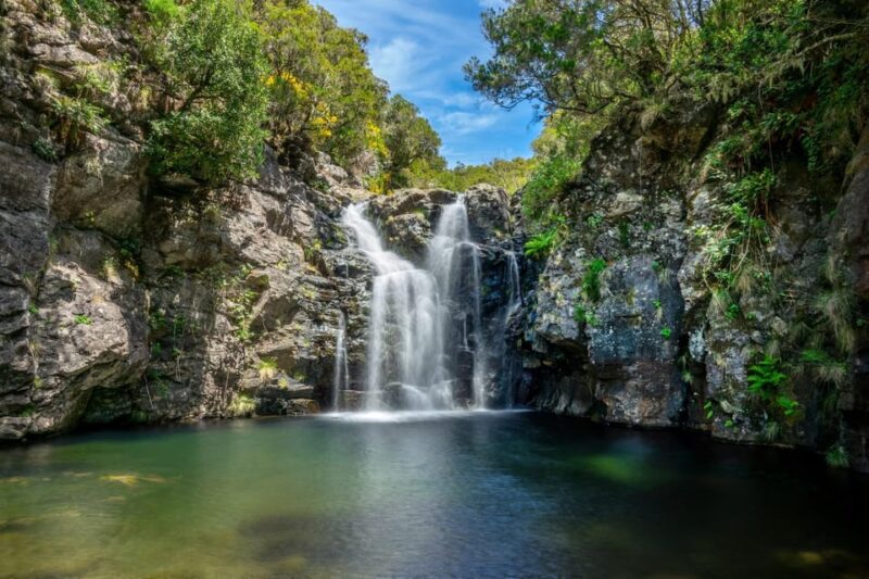 MADEIRA ISLAND WALK - LAKES OF MADEIRA , LEVADA DO ALECRIM - Booking Details