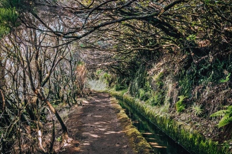 MADEIRA ISLAND WALK - LAKES OF MADEIRA , LEVADA DO ALECRIM - Itinerary Highlights
