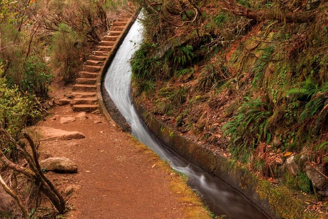 MADEIRA: Jeep Safari to Lava Pools and Seixal Full-Day West - Cancellation Policy