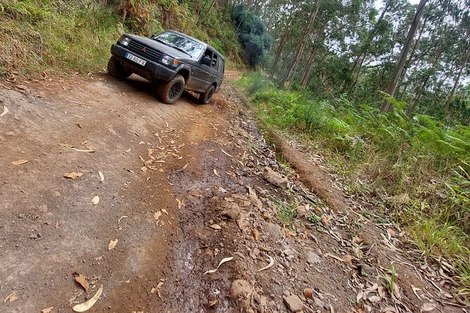 MADEIRA: Jeep Safari to Lava Pools and Seixal Full-Day West - Booking and Inquiries