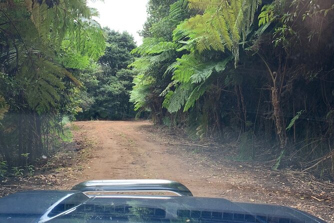 MADEIRA: Jeep Safari to Pico Arieiro & Santana Local Houses - Highlights