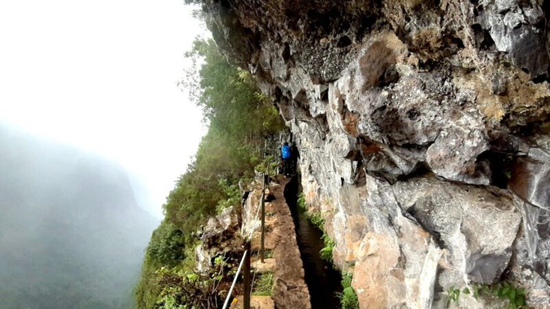 Madeira: Jungle Fever Levada Caldeirao Verde Hike Santana - Starting Locations and Transportation