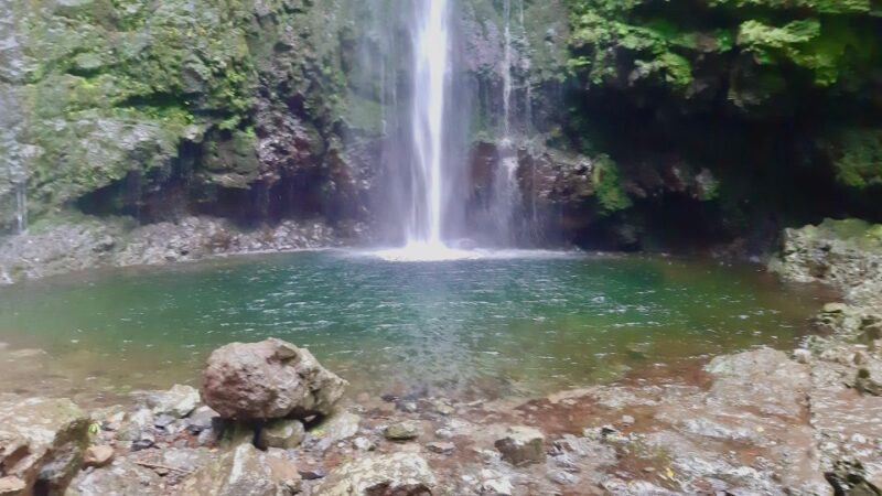 Madeira: Jungle Fever Levada Caldeirao Verde Hike Santana - Activities and Experiences