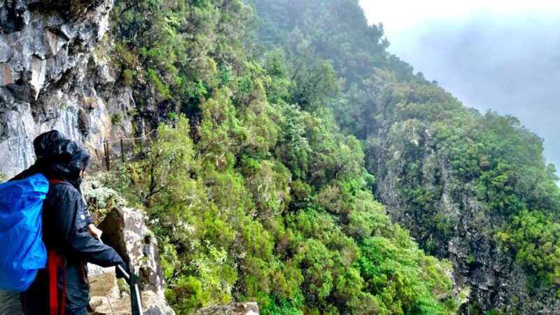 Madeira: Jungle Fever Levada Caldeirao Verde Hike Santana - Highlights of the Hike