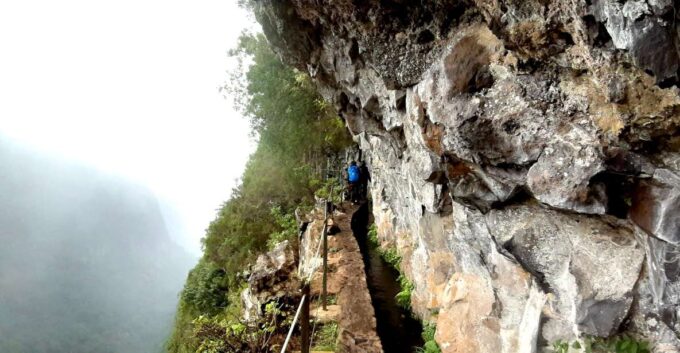 Madeira: Jungle Fever Levada Caldeirao Verde Hike Santana - Customer Feedback and Considerations