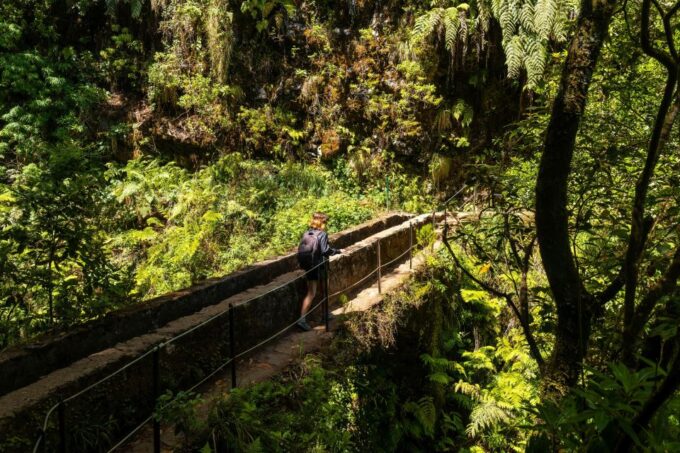 Madeira: Jungle Fever Levada Caldeirao Verde Hike Santana - Madeiras Unpredictable Weather