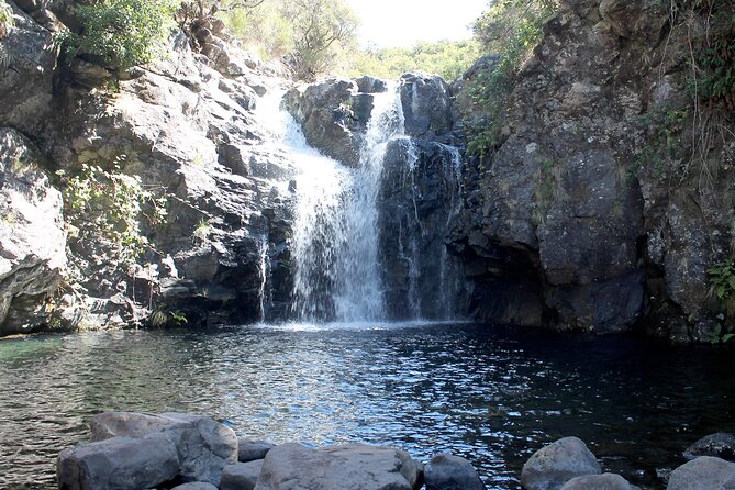 Madeira Lakes - Levada Do Alecrim - Meeting and Pickup Details