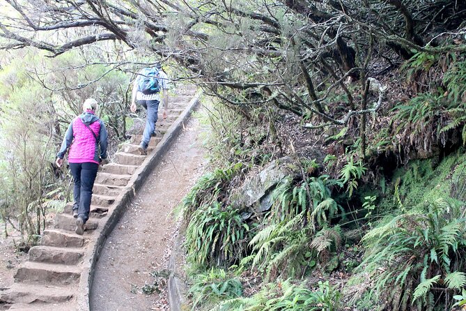 Madeira Lakes - Levada Do Alecrim - Confirmation and Cancellation Policy