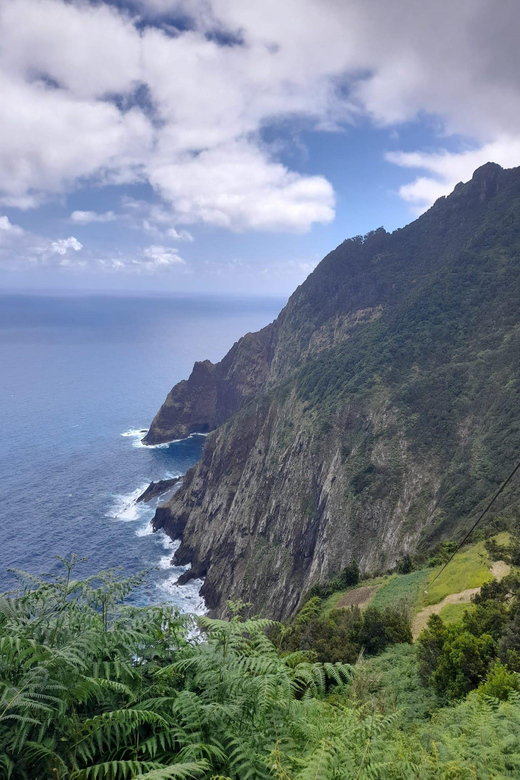 Madeira Larano Walk Half-Day - Pricing and Booking