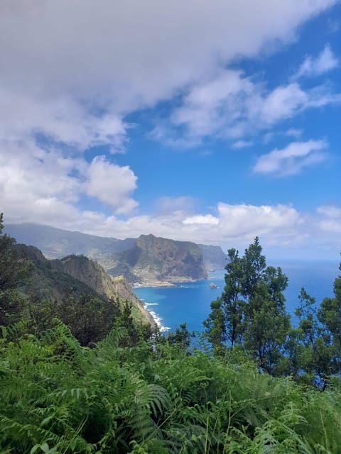 Madeira Larano Walk Half-Day - Exploring Lush Nature