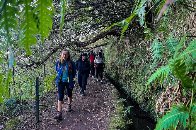 Madeira Levada Walk - Caldeirao Verde - Confirmation and Restrictions