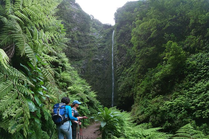 Madeira Levada Walk - Caldeirao Verde - Physical Fitness Level