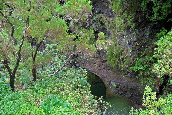 Madeira Levada Walk - Rabacal Lakes and Fountains - Transportation and Pickup